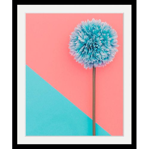 4049009354925 - Bild QUEENCE Pusteblume Bilder Gr B H T 30 cm x 40 cm x 3 cm bunt Kunstdrucke Bilder in 3 Größen gerahmt