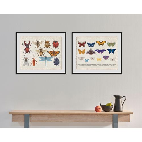 4049009843337 - Bild QUEENCE Das Große Krabbeln Bilder Gr B H 40 cm x 30 cm Wandbild Querformat 1 St bunt Bild Kunstdruck Bilder mit Rahmen 4049009843337 - Bild QUEENCE Das Große Krabbeln Bilder Gr B H 40 cm x 30 cm Wandbild Querformat 1 St bunt Bild Kunstdruck Bilder mit Rahmen