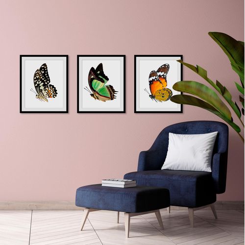 4049009846673 - Bild QUEENCE Andy Bilder Gr B H 40 cm x 50 cm Wandbild Schmetterlinge Hochformat 1 St gelb Bild Kunstdruck Bilder mit Rahmen 4049009846673 - Bild QUEENCE Andy Bilder Gr B H 40 cm x 50 cm Wandbild Schmetterlinge Hochformat 1 St gelb Bild Kunstdruck Bilder mit Rahmen