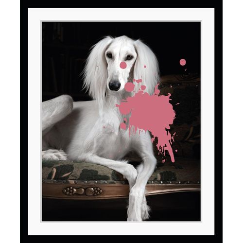 4049009872320 - Bild QUEENCE Helena 20 Bilder Gr B H 40 cm x 50 cm Wandbild Hunde Hochformat pink (weiß pink) Kunstdrucke Farbklecks Hund gerahmt Pudel