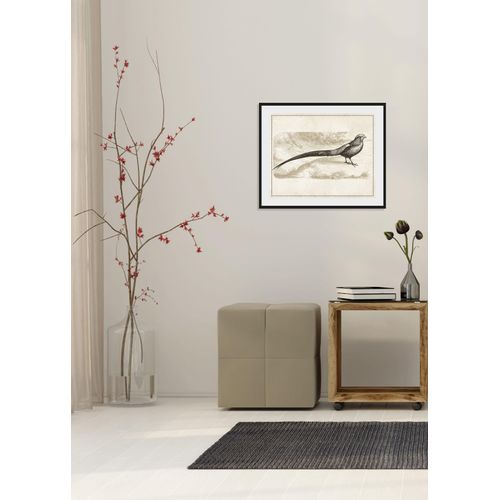 4049009919650 - Bild QUEENCE Daniel Bilder Gr B H 50 cm x 40 cm Wandbild Vögel Querformat 1 St grau Bild Kunstdruck Bilder mit Rahmen 4049009919650 - Bild QUEENCE Daniel Bilder Gr B H 50 cm x 40 cm Wandbild Vögel Querformat 1 St grau Bild Kunstdruck Bilder mit Rahmen