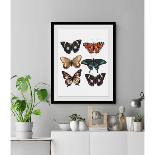 4049009846277 - Bild QUEENCE Jana Bilder Gr B H 30 cm x 40 cm Wandbild Schmetterlinge Hochformat 1 St bunt Bild Kunstdruck Bilder mit Rahmen