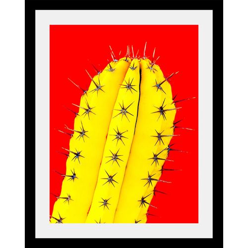 4049009356158 - Bild QUEENCE Kaktus Bilder Gr B H T 30 cm x 40 cm x 3 cm bunt Kunstdrucke Bilder in 3 Größen gerahmt 4049009356158 - Bild QUEENCE Kaktus Bilder Gr B H T 30 cm x 40 cm x 3 cm bunt Kunstdrucke Bilder in 3 Größen gerahmt