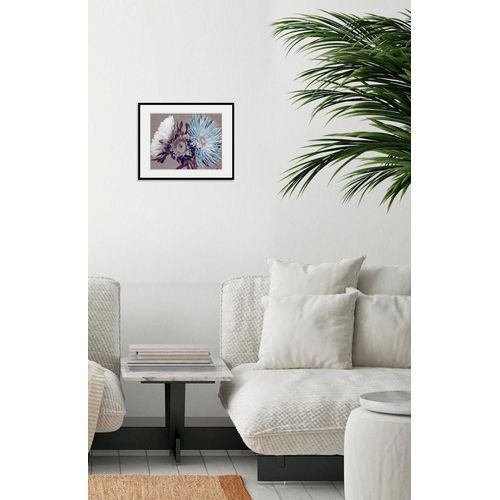 4049009841968 - Bild QUEENCE Verena Bilder Gr B H 50 cm x 40 cm Wandbild Blumen Querformat 1 St blau Bild Kunstdruck Bilder mit Rahmen 4049009841968 - Bild QUEENCE Verena Bilder Gr B H 50 cm x 40 cm Wandbild Blumen Querformat 1 St blau Bild Kunstdruck Bilder mit Rahmen