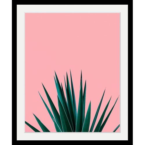 4049009090816 - Bild QUEENCE Pflanze Bilder Gr B H T 30 cm x 40 cm x 3 cm bunt Kunstdrucke Bilder in 3 Größen gerahmt 4049009090816 - Bild QUEENCE Pflanze Bilder Gr B H T 30 cm x 40 cm x 3 cm bunt Kunstdrucke Bilder in 3 Größen gerahmt