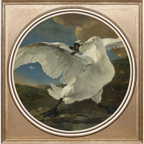 4049009363859 - Acrylglasbild »Weisser Schwan« Kunst-Vögel-Vogelbilder-Ente-Enten-Gemälde Fine Art-Print in Galeriequalität
