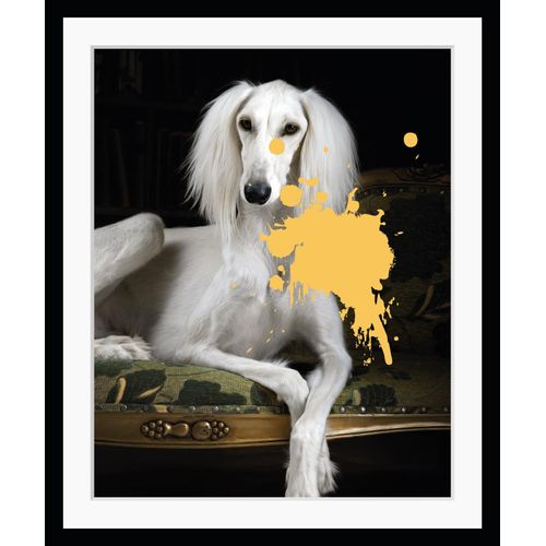4049009870395 - Bild QUEENCE Helena 10 Bilder Gr B H 30 cm x 40 cm Wandbild Hunde Hochformat gelb (weiß gelb) Kunstdrucke gerahmt Hund Pudel Farbklecks