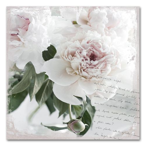 4049009165590 - Acrylglasbild »Poesie & Rose« Blumen-Blumenbilder-Pflanzen-Sprüche-Sprüche & Texte Fine Art-Print in Galeriequalität