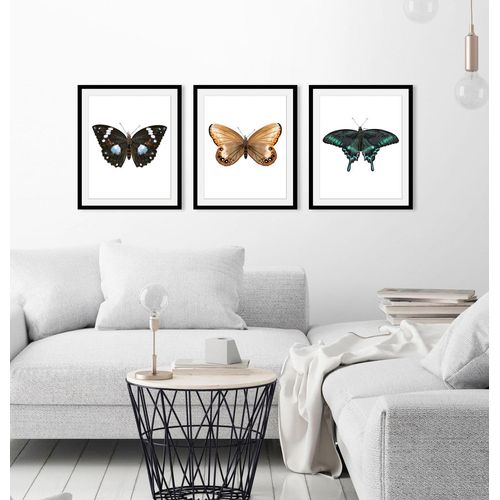 4049009846451 - Bild QUEENCE Juju Bilder Gr B H 30 cm x 40 cm Wandbild Schmetterlinge Hochformat 1 St schwarz Bild Kunstdruck Bilder mit Rahmen