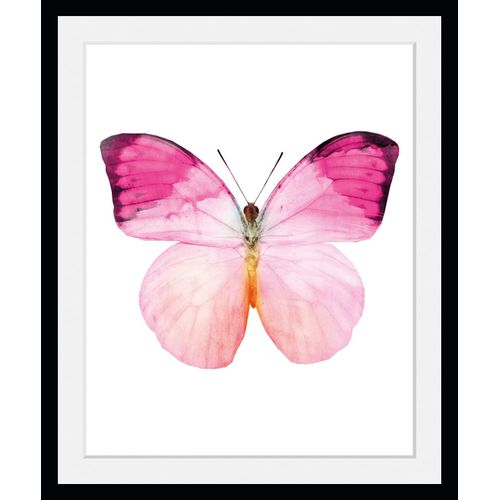 4049009846529 - Bild QUEENCE Jody Bilder Gr B H 40 cm x 50 cm Wandbild Schmetterlinge Hochformat 1 St rosa Bild Kunstdruck Bilder mit Rahmen