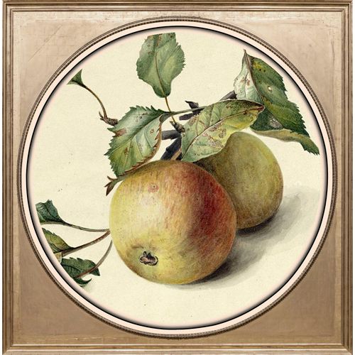 4049009065685 - Acrylglasbild QUEENCE Äpfel Bilder Gr B H T 40 cm x 40 cm x 3 cm bunt Acrylglasbilder Bilder 4049009065685 - Acrylglasbild QUEENCE Äpfel Bilder Gr B H T 40 cm x 40 cm x 3 cm bunt Acrylglasbilder Bilder