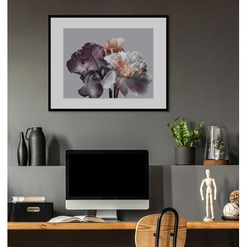 4049009841937 - Bild QUEENCE Vesna Bilder Gr B H 50 cm x 40 cm Wandbild Blumen Querformat 1 St lila Bild Kunstdruck Bilder mit Rahmen 4049009841937 - Bild QUEENCE Vesna Bilder Gr B H 50 cm x 40 cm Wandbild Blumen Querformat 1 St lila Bild Kunstdruck Bilder mit Rahmen