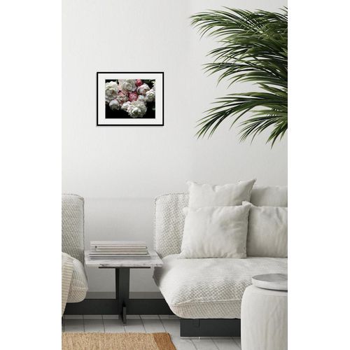 4049009842118 - Bild QUEENCE Alexa Bilder Gr B H 50 cm x 40 cm Wandbild Blumen Querformat 1 St weiß Bild Kunstdruck Bilder mit Rahmen 4049009842118 - Bild QUEENCE Alexa Bilder Gr B H 50 cm x 40 cm Wandbild Blumen Querformat 1 St weiß Bild Kunstdruck Bilder mit Rahmen