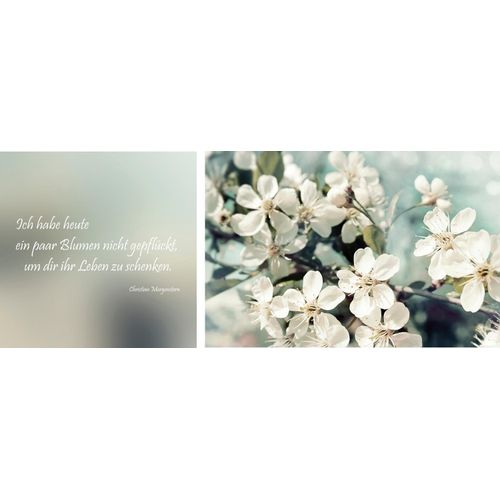 4049009166511 - Leinwandbild »Leben geschenkt« Blumen-Blumenbilder-Kunst-Modern-Spa-Spa Bilder-Sprüche-Sprüche & Texte-Schriftzug-Schriftzüge (Set) Premium-Leinwandstoff Handarbeit aus Deutschland Zitat 2er Set