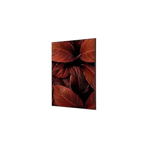 8596052181849 - Showdown Wanddekoration Set A2 Blätter rt 8596052181849 Showdown Displays