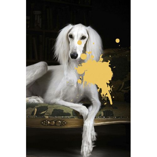 4049009085768 - Acrylglasbild QUEENCE Hund mit Farbklecks schwarz (farbe bild(er) grün) B100cm H150cm T24cm Bilder Fine Art-Print in Galeriequalität 4049009085768 - Acrylglasbild QUEENCE Hund mit Farbklecks schwarz (farbe bild(er) grün) B100cm H150cm T24cm Bilder Fine Art-Print in Galeriequalität