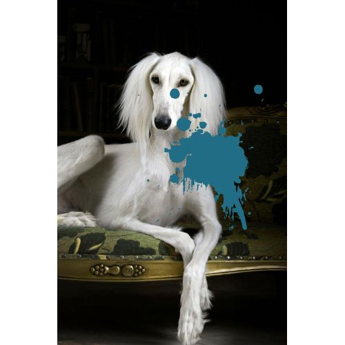 4049009362777 - Acrylglasbild QUEENCE Hund mit Farbklecks grün (farbe bild(er) grün) B80cm H120cm T24cm Bilder Fine Art-Print in Galeriequalität 4049009362777 - Acrylglasbild QUEENCE Hund mit Farbklecks grün (farbe bild(er) grün) B80cm H120cm T24cm Bilder Fine Art-Print in Galeriequalität