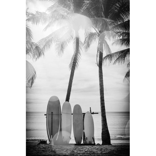 4049009068105 - Acrylglasbild QUEENCE Surfboards schwarz (farbe bild(er) schwarz) B100cm H150cm T24cm Bilder Fine Art-Print in Galeriequalität 4049009068105 - Acrylglasbild QUEENCE Surfboards schwarz (farbe bild(er) schwarz) B100cm H150cm T24cm Bilder Fine Art-Print in Galeriequalität