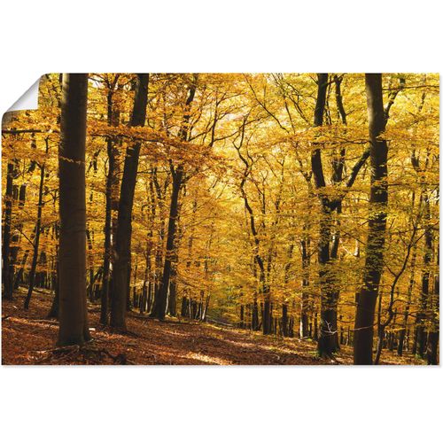 4059745505543 - Wandbild ARTLAND Spaziergang im Herbstwald Bilder Gr B H 30 cm x 20 cm Poster Wald 1 St goldfarben Bild Kunstdruck Leinwandbild Kunstdrucke Bilder als Alubild Leinwandbild Wandaufkleber oder Poster in versch Größen