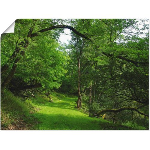 4055327609166 - Wandbild ARTLAND Grüner Weg durch den Wald Bilder Gr B H 80 cm x 60 cm Poster Wald 1 St grün Bild Kunstdruck Leinwandbild Kunstdrucke Bilder als Leinwandbild Wandaufkleber oder Poster in versch Größen