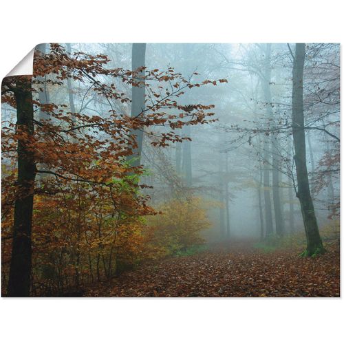 4055327608558 - Wandbild ARTLAND Nebel im Herbstwald Bilder Gr B H 60 cm x 45 cm Poster Wald 1 St braun Bild Kunstdruck Kunstdrucke Bilder als Leinwandbild Wandaufkleber oder Poster in versch Größen 4055327608558 - Wandbild ARTLAND Nebel im Herbstwald Bilder Gr B H 60 cm x 45 cm Poster Wald 1 St braun Bild Kunstdruck Kunstdrucke Bilder als Leinwandbild Wandaufkleber oder Poster in versch Größen
