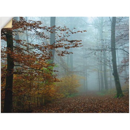 4057738783435 - Wandbild ARTLAND Nebel im Herbstwald Bilder Gr B H 60 cm x 45 cm Wandaufkleber - Vinyl Wald 1 St braun Bild Kunstdruck Kunstdrucke Bilder als Leinwandbild Wandaufkleber oder Poster in versch Größen