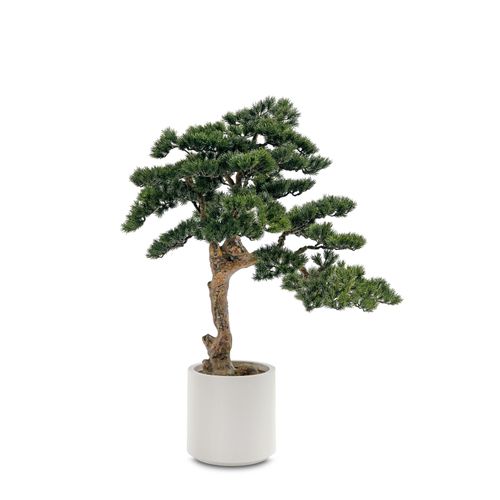 4041104129514 - Kunstpflanze Kiefer-Bonsai