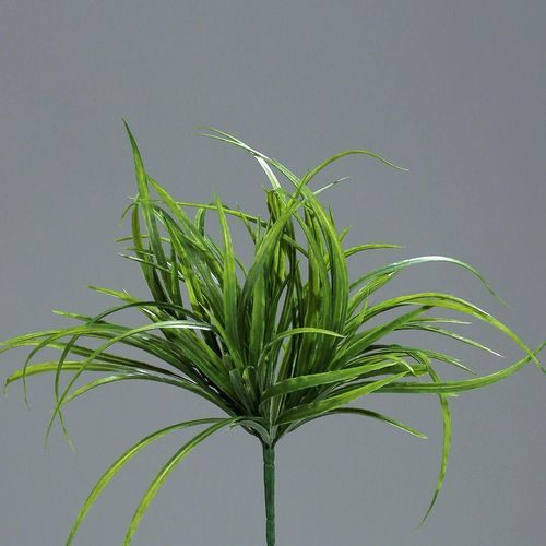 4027234352954 - Kunstpflanze Gräser-Pick (H 33 cm) H 33 cm grün Pflanze Kunstblume Zimmerpflanze 4027234352954 - Kunstpflanze Gräser-Pick (H 33 cm) H 33 cm grün Pflanze Kunstblume Zimmerpflanze