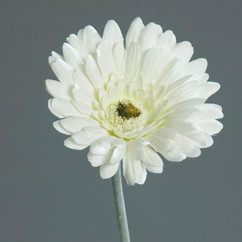 4027234238241 - Kunstblume Gerbera 4027234238241 - Kunstblume Gerbera