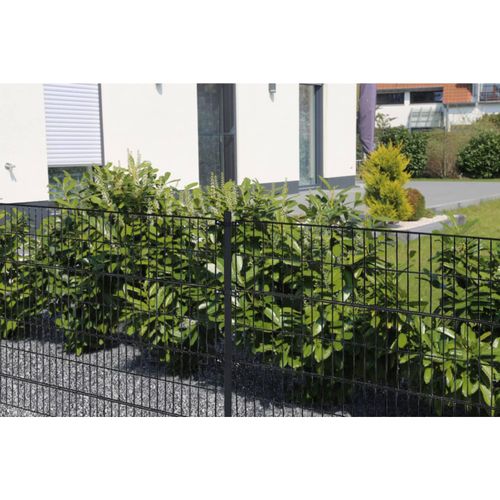 4058166100023 - HOME DELUXE Doppelstabmattenzaun anthrazit 0800 mm x 20 m
