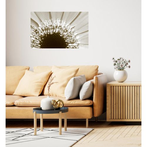 4067437104547 - Wandsticker QUEENCE Sonnenblume beige T01cm Folie Wandtattoos Selbstklebend kinderleichte Anbringung 4067437104547 - Wandsticker QUEENCE Sonnenblume beige T01cm Folie Wandtattoos Selbstklebend kinderleichte Anbringung