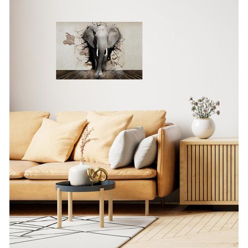 4067437104363 - Wandsticker QUEENCE Elefant grau T01cm Folie Wandtattoos Selbstklebend kinderleichte Anbringung 4067437104363 - Wandsticker QUEENCE Elefant grau T01cm Folie Wandtattoos Selbstklebend kinderleichte Anbringung
