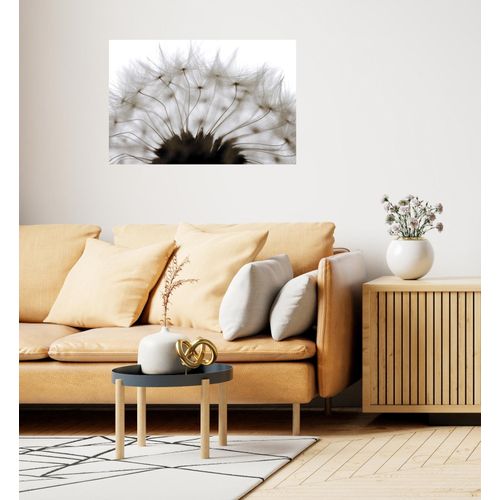 4067437103922 - Wandsticker QUEENCE Pusteblume weiß T01cm Folie Wandtattoos Selbstklebend kinderleichte Anbringung 4067437103922 - Wandsticker QUEENCE Pusteblume weiß T01cm Folie Wandtattoos Selbstklebend kinderleichte Anbringung