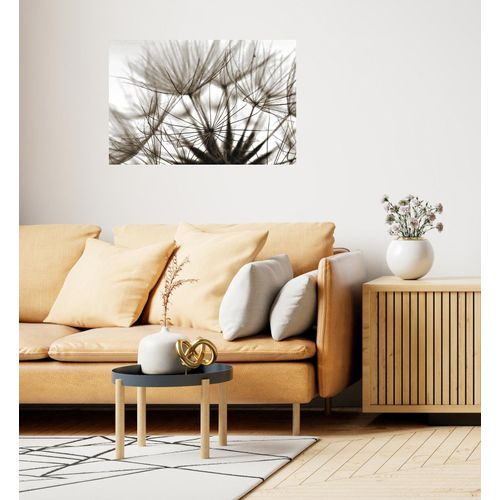 4067437103854 - Wandsticker QUEENCE Blume beige T01cm Folie Wandtattoos Selbstklebend kinderleichte Anbringung 4067437103854 - Wandsticker QUEENCE Blume beige T01cm Folie Wandtattoos Selbstklebend kinderleichte Anbringung