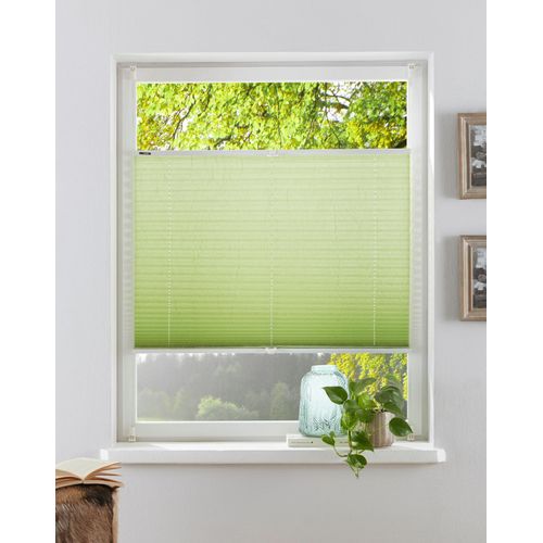 6952540675276 - Plissee MY HOME DAHRA - in Crush-Optik Plissees Gr 130 cm zweiseitig verschiebbar 110 cm grün Plissees ohne Bohren Fixmaß Bestseller mit über 5500 45-Sterne-Bewertungen Klemmträger
