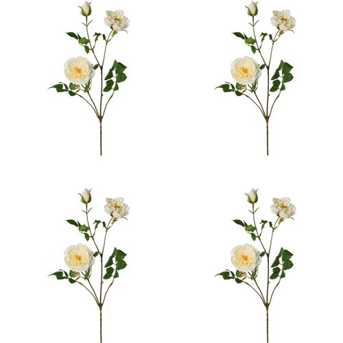 4064118117889 - Kunstblume CREATIV GREEN Rosenzweig Kunstpflanzen Gr H 73 cm 4 St beige (champagner) Kunst-Blumen 4064118117889 - Kunstblume CREATIV GREEN Rosenzweig Kunstpflanzen Gr H 73 cm 4 St beige (champagner) Kunst-Blumen