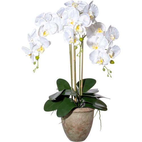 4064118180968 - Kunstorchidee Orchidee Phalaenopsis Orchidee Creativ green Höhe 3 cm mit traumhaft schönen Blüten weiß