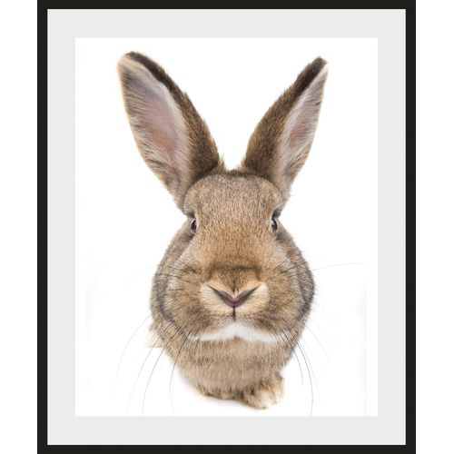 4049009930846 - Bild QUEENCE Algot Bilder Gr B H 40 cm x 50 cm Wandbild Hase Hochformat 1 St braun Kunstdrucke Bilder 4049009930846 - Bild QUEENCE Algot Bilder Gr B H 40 cm x 50 cm Wandbild Hase Hochformat 1 St braun Kunstdrucke Bilder