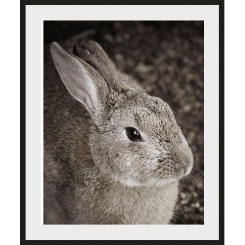 4049009930785 - Bild QUEENCE Tilde Bilder Gr B H 40 cm x 50 cm Wandbild Hase Hochformat 1 St braun Kunstdrucke Bilder 4049009930785 - Bild QUEENCE Tilde Bilder Gr B H 40 cm x 50 cm Wandbild Hase Hochformat 1 St braun Kunstdrucke Bilder