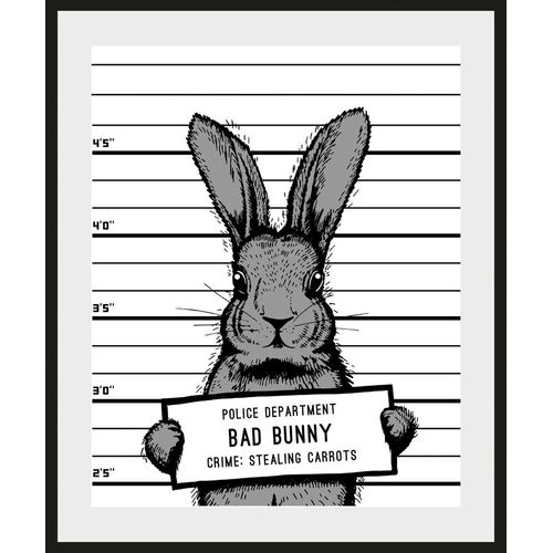 4049009864929 - Bild »Akani« Hase-Hasen-Haustiere-Schwarz-Weiss-Humor (1 St) HD Premium Poster-Druck inkl Holzrahmen