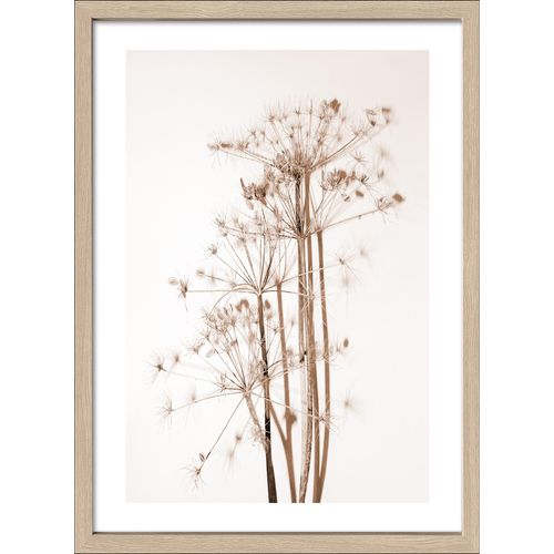 4019449499449 - Gerahmtes Bild DRIED FIBER VI (BHT 55x75x320 cm) PRO ART 4019449499449 - Gerahmtes Bild DRIED FIBER VI (BHT 55x75x320 cm) PRO ART