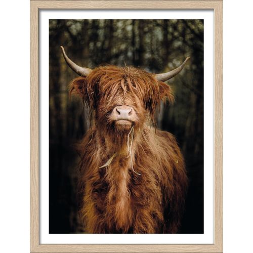 4019449482151 - PRO ART Gerahmtes Bild SCOTTISH (BHT 3250x4250x2 cm) BHT 3250x4250x2 cm bunt 4019449482151 - PRO ART Gerahmtes Bild SCOTTISH (BHT 3250x4250x2 cm) BHT 3250x4250x2 cm bunt