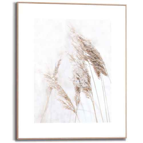 8714597598346 - Kunstdruck REINDERS Pampasgras Bilder Gr B H T 40 cm x 50 cm x 16 cm weiß Kunstdrucke