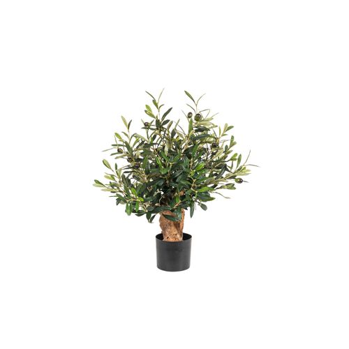 4016550338124 - Botanic-Haus Kunstblume »Olivenbaum«