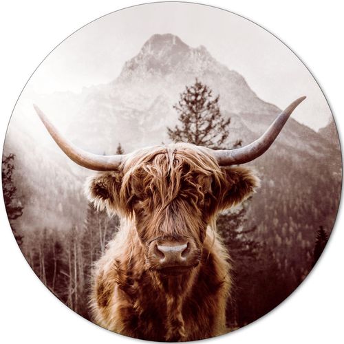 4019449455568 - Aludibondbild SCOTTISH (D 100 cm) PRO ART