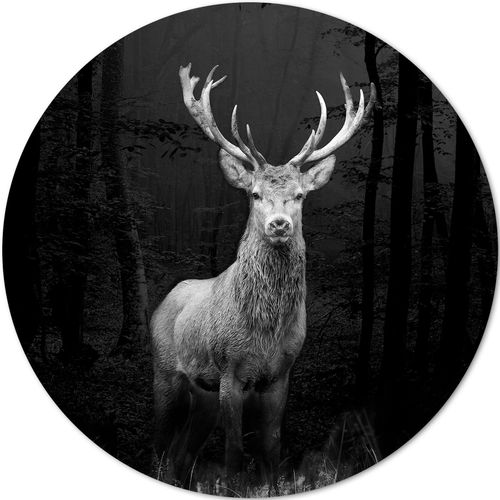 4019449453526 - Aludibondbild GREY DEER HEAD I (D 100 cm) PRO ART 4019449453526 - Aludibondbild GREY DEER HEAD I (D 100 cm) PRO ART