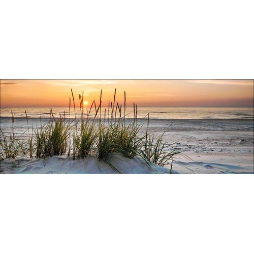 4019449399763 - PRO ART Glasbild LONELY DUNE (LB 50x125 cm) LB 50x125 cm bunt Acrylglasbild 4019449399763 - PRO ART Glasbild LONELY DUNE (LB 50x125 cm) LB 50x125 cm bunt Acrylglasbild