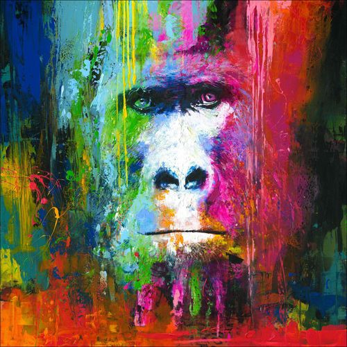 4019449405228 - Originalbild COLOURFUL GORILLA (LB 100x100 cm) PRO ART 4019449405228 - Originalbild COLOURFUL GORILLA (LB 100x100 cm) PRO ART