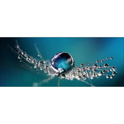 4019449443510 - PRO ART Glasbild DROP ON WATER (BH 125x50 cm) BH 125x50 cm bunt Acrylglasbild 4019449443510 - PRO ART Glasbild DROP ON WATER (BH 125x50 cm) BH 125x50 cm bunt Acrylglasbild
