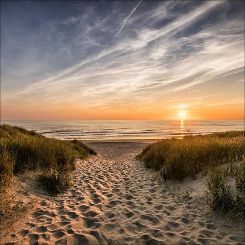 4019449463013 - PRO ART Glasbild WEG ZUM STRAND (BHT 20x20x130 cm) BHT 20x20x130 cm bunt Acrylglasbild 4019449463013 - PRO ART Glasbild WEG ZUM STRAND (BHT 20x20x130 cm) BHT 20x20x130 cm bunt Acrylglasbild